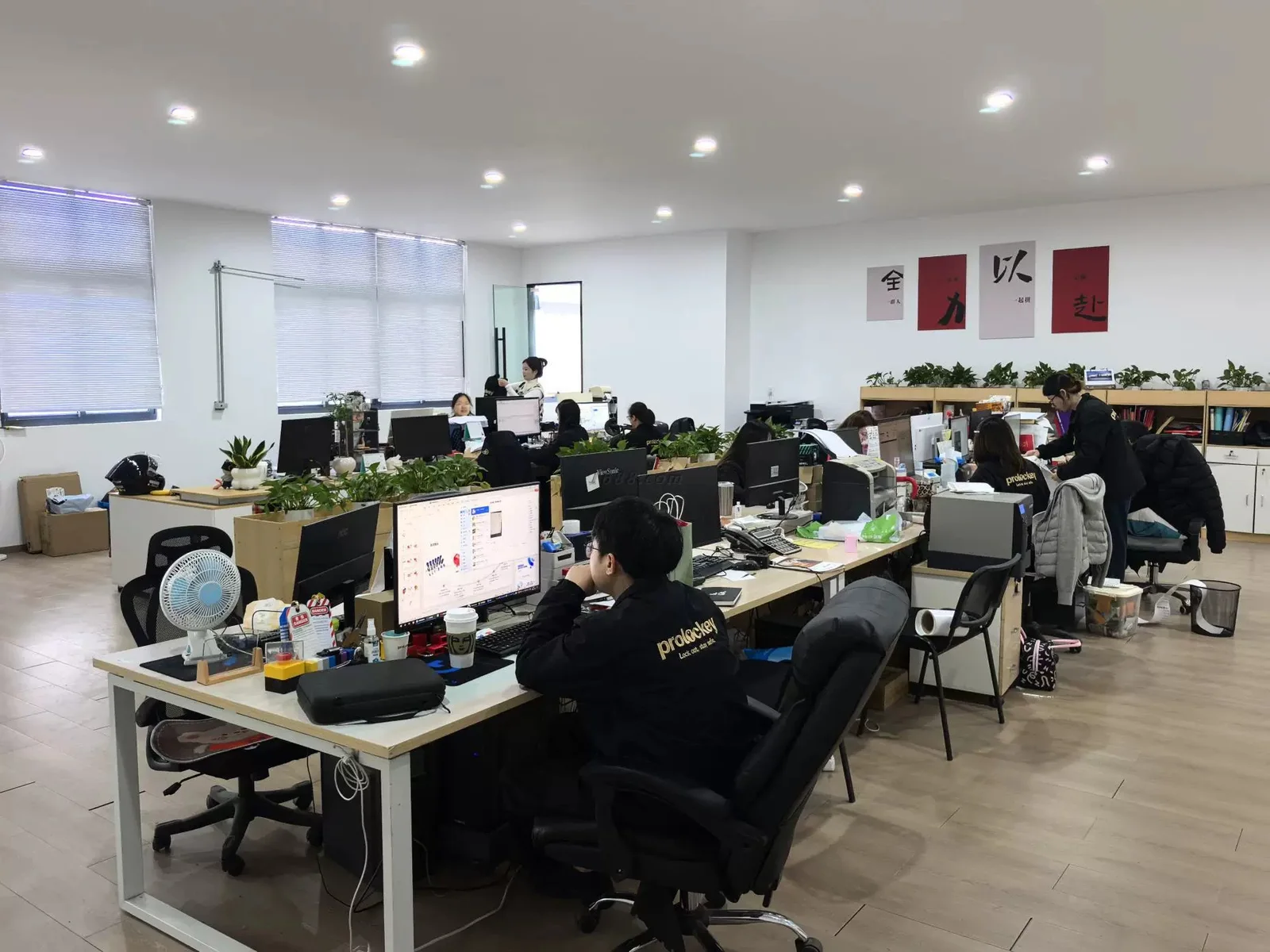洛科办公团队实景