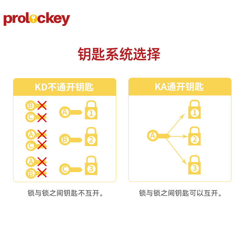 PROLOCKEY LP05 钥匙系统示意图
